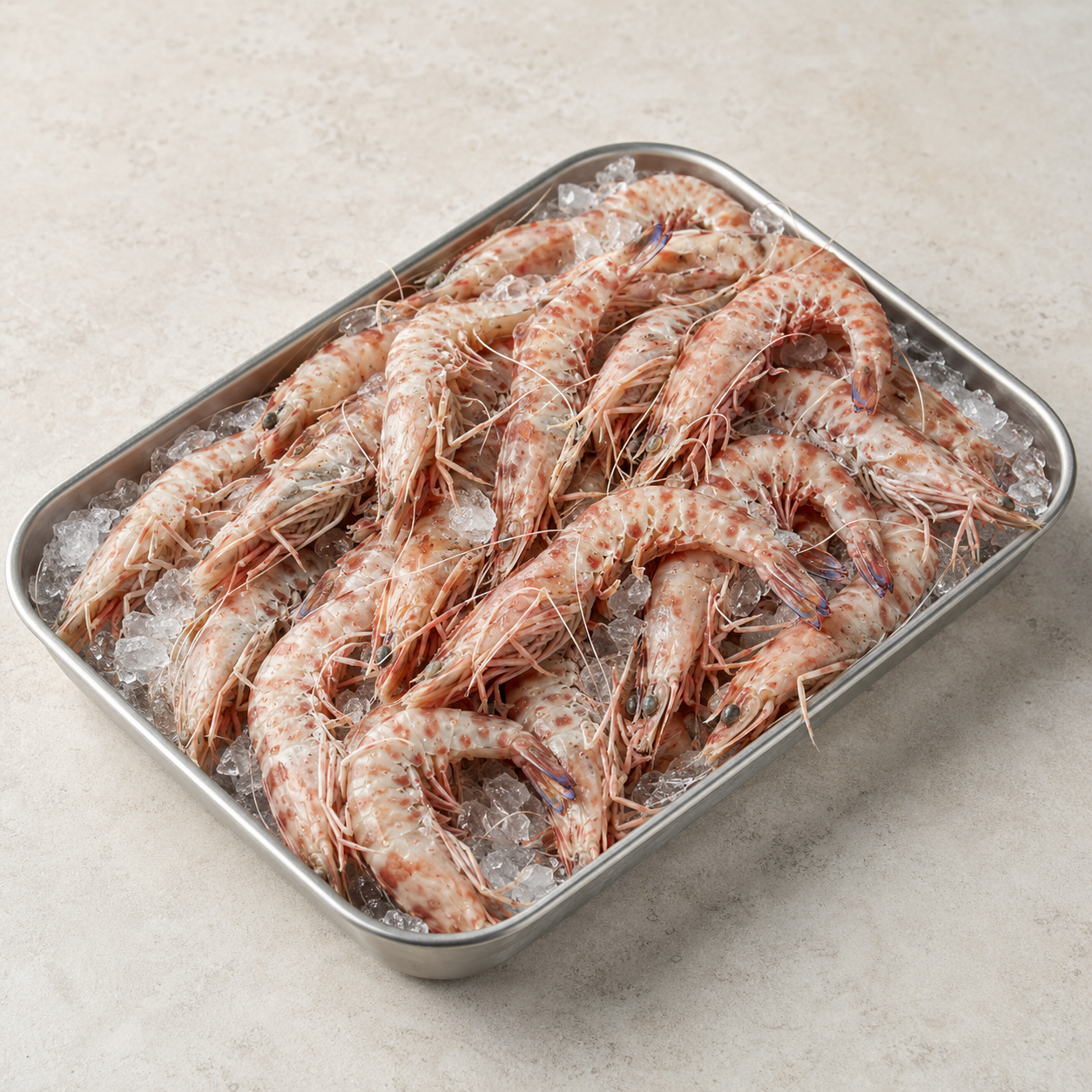 Frozen Royal Shrimp – Melicertus kerathurus – 1 kg – product image 1