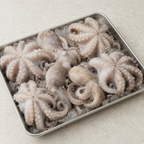 Frozen Whole Common Octopus – Octopus vulgaris – 1 kg – product image 1