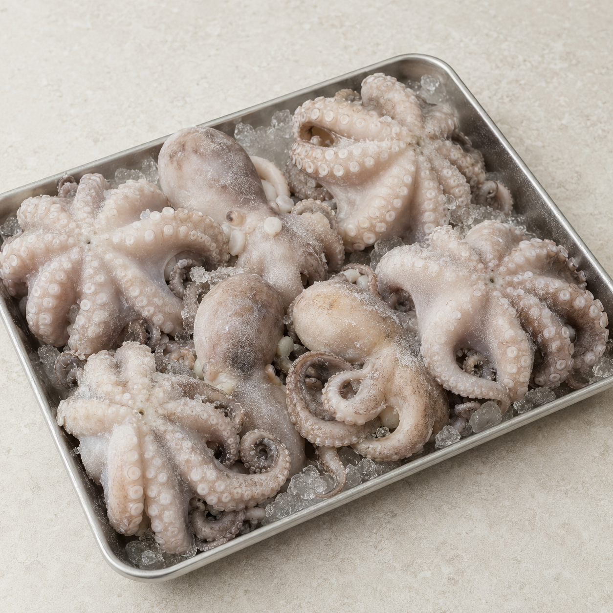 Frozen Whole Common Octopus – Octopus vulgaris – 1 kg – product image 1