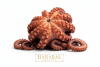 Wild-Caught Sun-Dried Mediterranean Octopus